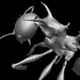 Image: a new, highly adorned “dragon ant” discovered in New Guinea. Image: Sarnat et al. (2016)